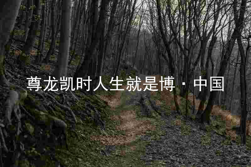尊龙凯时人生就是博·中国
