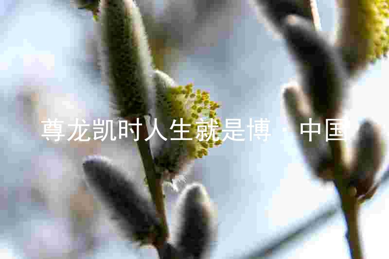 尊龙凯时人生就是博·中国
