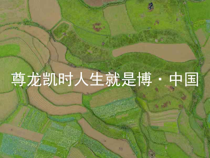 尊龙凯时人生就是博·中国